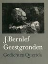 Geestgronden (e-Book) - J. Bernlef (ISBN 9789021448305)