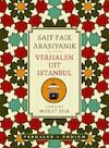 Verhalen uit Istanbul (e-Book) - Sait Faik Abasiyanik (ISBN 9789057596803)