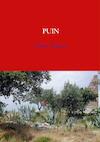 Puin - Hens Hauer (ISBN 9789402121971)