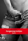Jongenssprookjes / Deel 2 (e-Book) - Eric Kollen (ISBN 9789081978996)