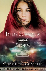 In de schaduw van de storm (e-Book)