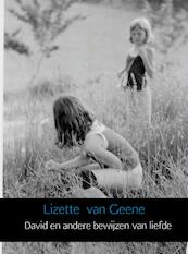 David en andere bewijzen van liefde - Lizette van Geene (ISBN 9789402112283)