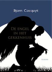De engel in het gekkenhuis - B. Cocquyt (ISBN 9789077490501)