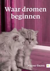 Waar dromen beginnen - Nanno Brink (ISBN 9789400821910)