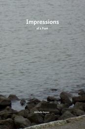 Impressions - Michelle Seyner (ISBN 9789402121599)