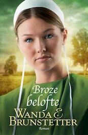 Broze belofte / De Indiana Amish 1 - Wanda Brunstetter (ISBN 9789088653216)