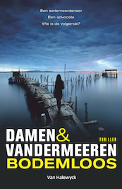 Bodemloos - Damen & Vandermeeren (ISBN 9789463831208)