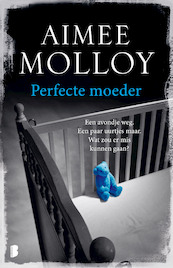 Perfecte moeder - Aimee Molloy (ISBN 9789022588642)