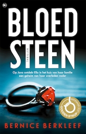 Bloedsteen - Bernice Berkleef (ISBN 9789044354928)