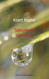 Spiegelend oppervlak - Koert Koster (ISBN 9789461935212)