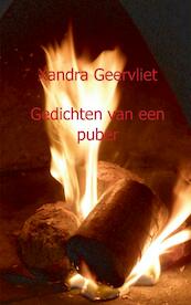 Gedichten van een puber - Xandra Geervliet (ISBN 9789461935625)