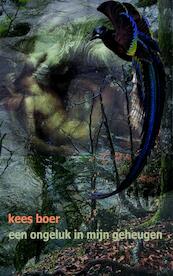 Een ongeluk in mijn geheugen - Kees Boer (ISBN 9789402104042)