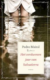 Het verdwenen jaar van Salvatierra - Pedro Mairal (ISBN 9789025369460)