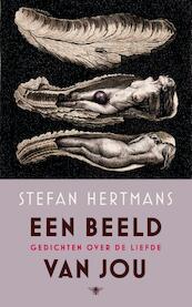 Een beeld van jou - Stefan Hertmans (ISBN 9789023497479)