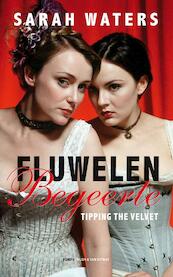 Fluwelen begeerte - Sarah Waters (ISBN 9789038890579)