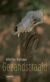 Gezandstraald - Aliefka Bijlsma (ISBN 9789045703879)