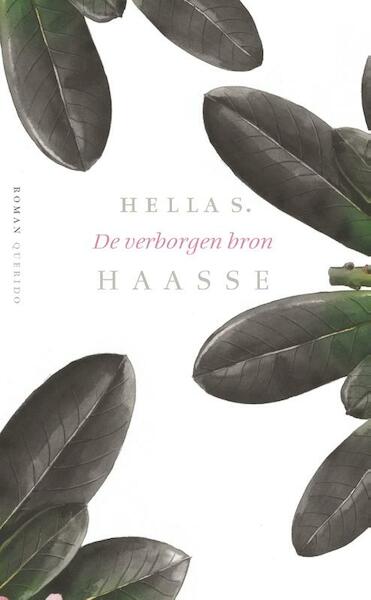 De verborgen bron - Hella S. Haasse (ISBN 9789021441504)