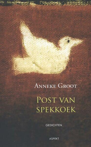 Post met spekkoek - Anneke Groot (ISBN 9789461531438)