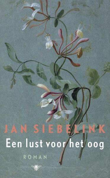 EEn lust voor het oog - Jan Siebelink (ISBN 9789023456513)