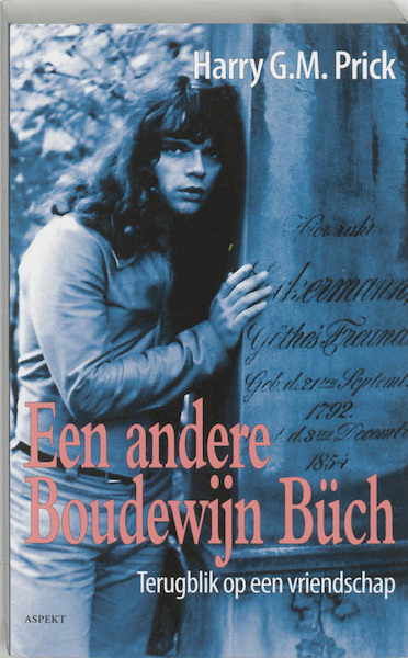 Een andere Boudewijn Buch - Harry G.M. Prick (ISBN 9789059113343)