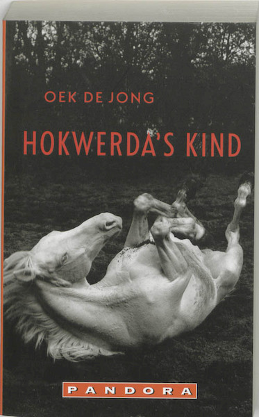Hokwerda's kind - Oek de Jong (ISBN 9789046702925)