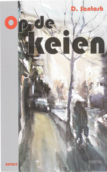 Op de keien - D. Santosh (ISBN 9789059116924)