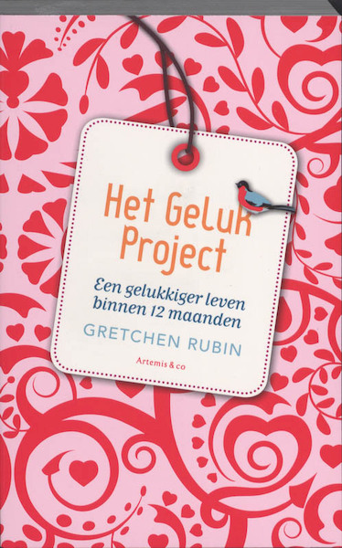 Het Geluk Project - Gretchen Rubin (ISBN 9789047201601)