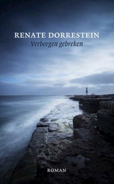 Verborgen gebreken - Renate Dorrestein (ISBN 9789490647223)
