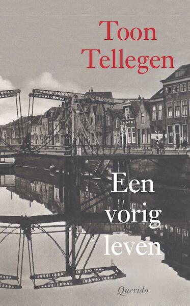 Een vorig leven - Toon Tellegen (ISBN 9789021458786)