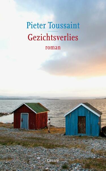 Gezichtsverlies - Pieter Toussaint (ISBN 9789059363441)