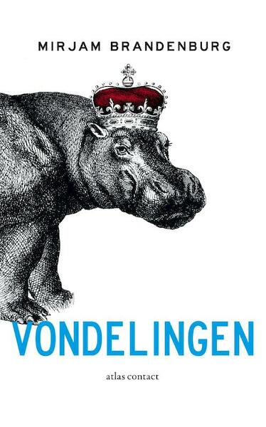 Vondelingen - Mirjam Brandenburg (ISBN 9789025438616)