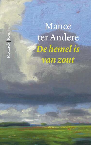 De hemel is van zout - Mance ter Andere (ISBN 9789023994183)