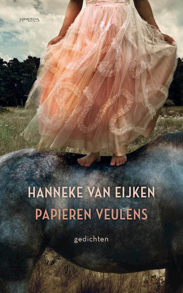 Papieren veulens - Hanneke van Eijken (ISBN 9789044622720)