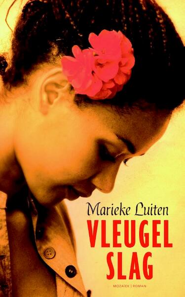 Vleugelslag - Marieke Luiten (ISBN 9789023996477)