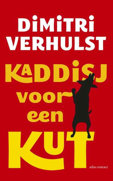Kaddisj voor een kut - Dimitri Verhulst (ISBN 9789025443559)
