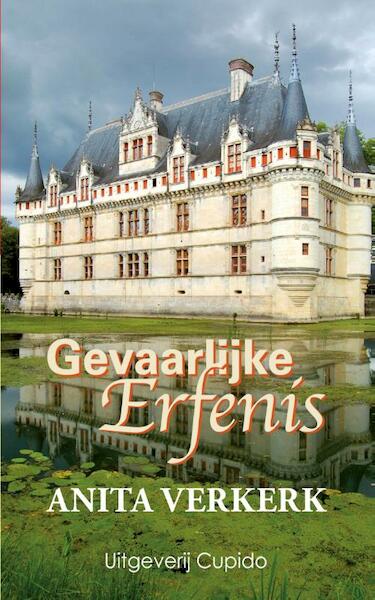 Gevaarlijke erfenis - Anita Verkerk (ISBN 9789462041127)