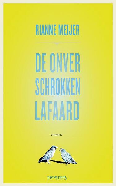 De onverschrokken lafaard - Rianne Meijer (ISBN 9789044622812)