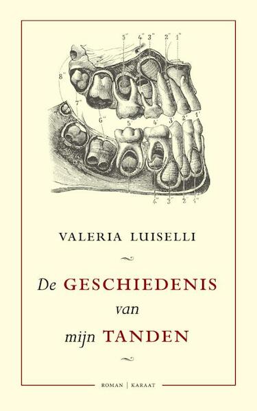 De geschiedenis van mijn tanden - Valeria Luiselli (ISBN 9789079770212)