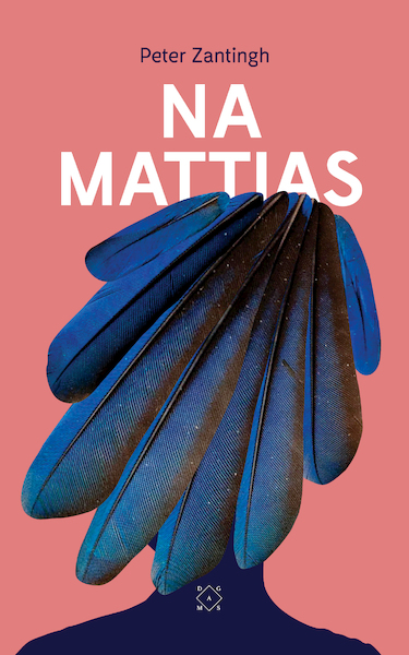 Na Mattias - Peter Zantingh (ISBN 9789492478580)