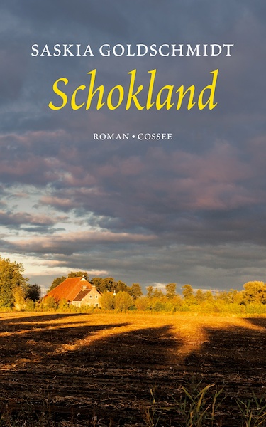 Schokland - Saskia Goldschmidt (ISBN 9789059368040)