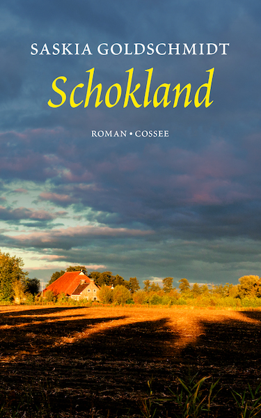 Schokland - Saskia Goldschmidt (ISBN 9789059368095)