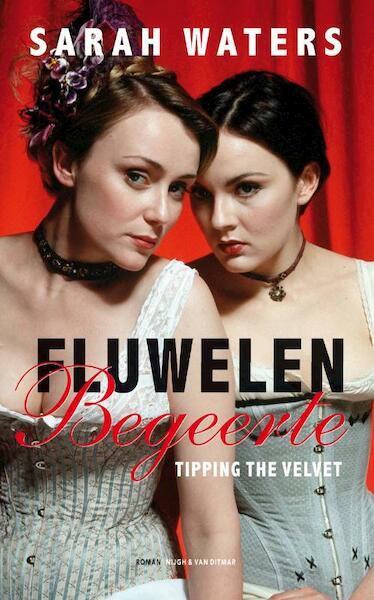 Fluwelen begeerte - Sarah Waters (ISBN 9789038890579)