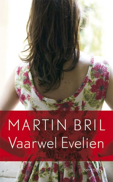 Vaarwel Evelien - Martin Bril (ISBN 9789044613841)