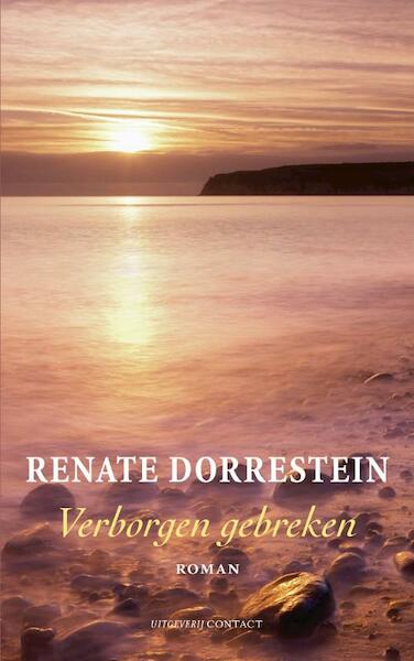 Verborgen gebreken / midprice - Renate Dorrestein (ISBN 9789025429270)