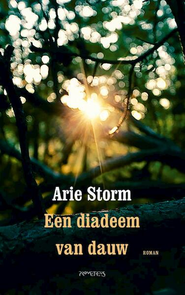 Een diadeem van dauw - Arie Storm (ISBN 9789044632132)