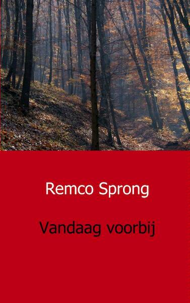 Vandaag voorbij - Remco Sprong (ISBN 9789461930811)