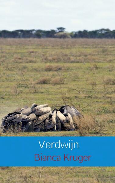 Verdwijn - Bianca Kruger (ISBN 9789461934642)