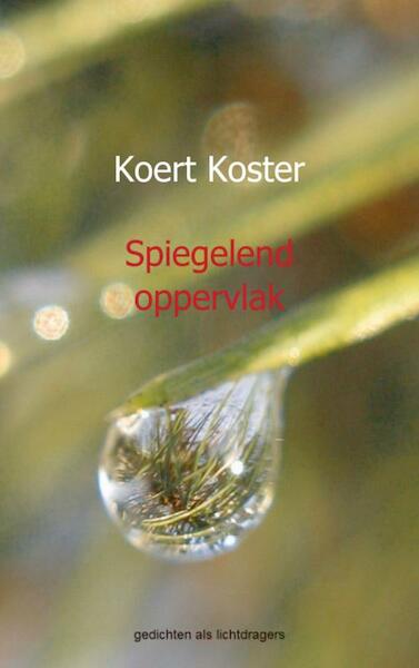 Spiegelend oppervlak - Koert Koster (ISBN 9789461935212)
