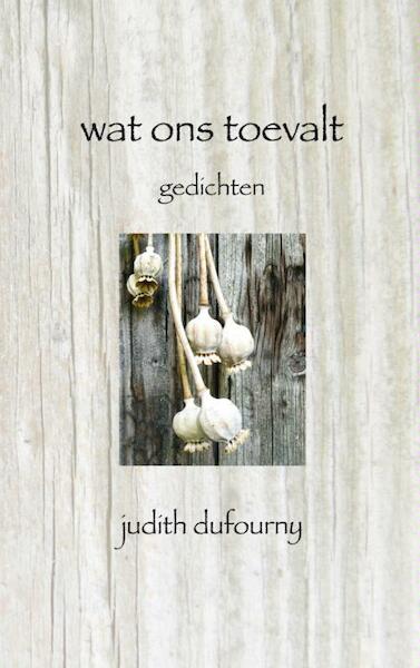 Wat ons toevalt - Judith Dufourny (ISBN 9789402114591)