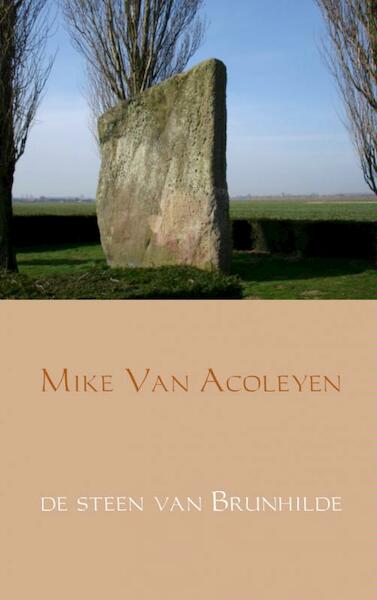 De steen van Brunhilde - Mike Van Acoleyen (ISBN 9789402115925)